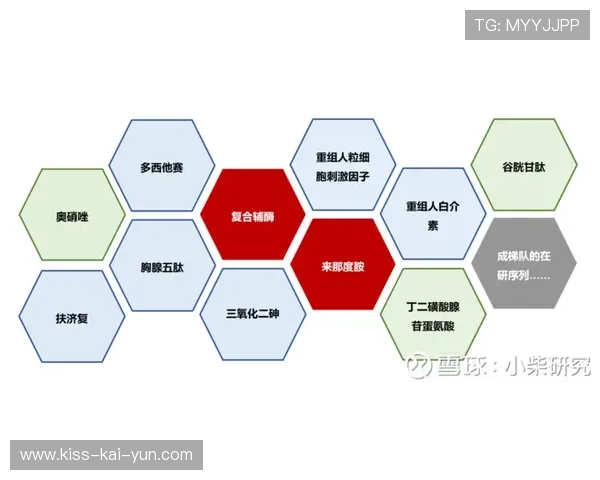 术后重返运动的阶段划分与风险预警